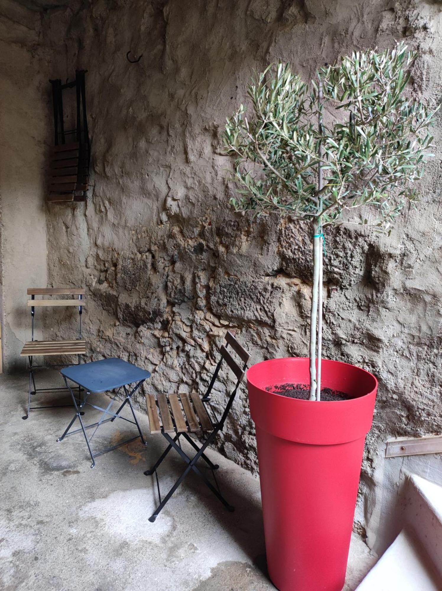 Villa L'Ostra De L'Impasse Portiragnes Esterno foto